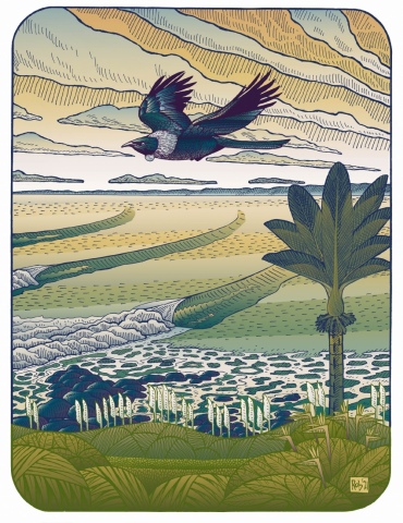 Tui at Whale Bay, Raglan