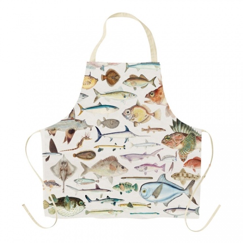 Fishes of NZ Apron