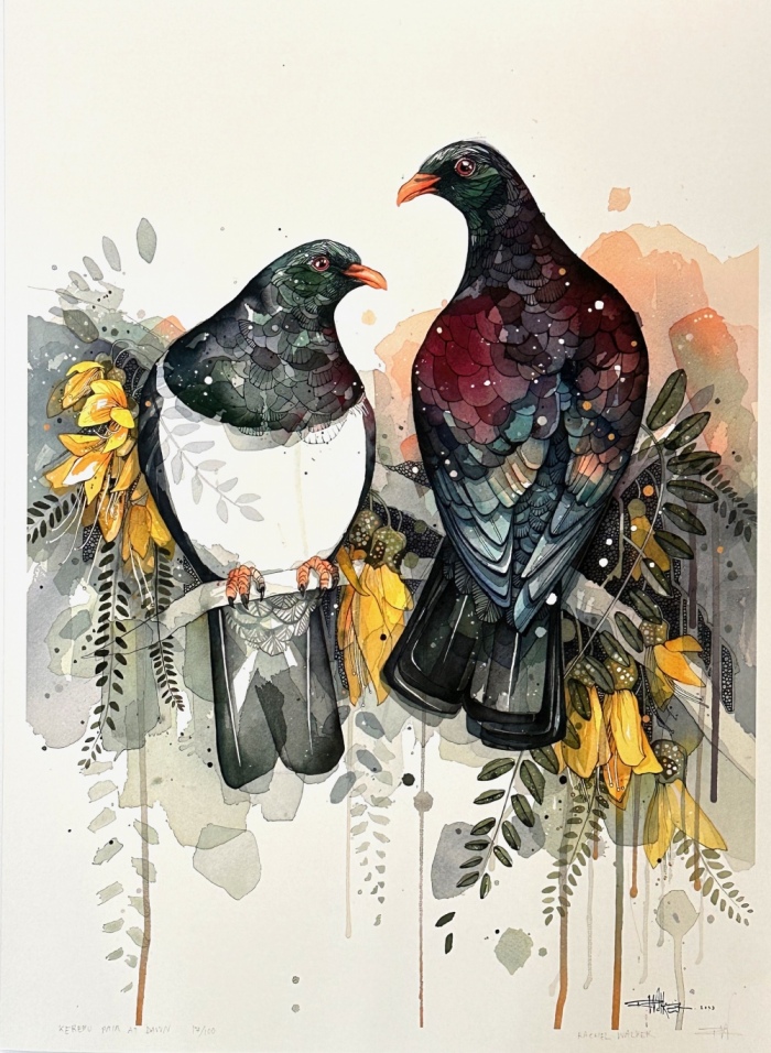 Kereru Pair at Dawn