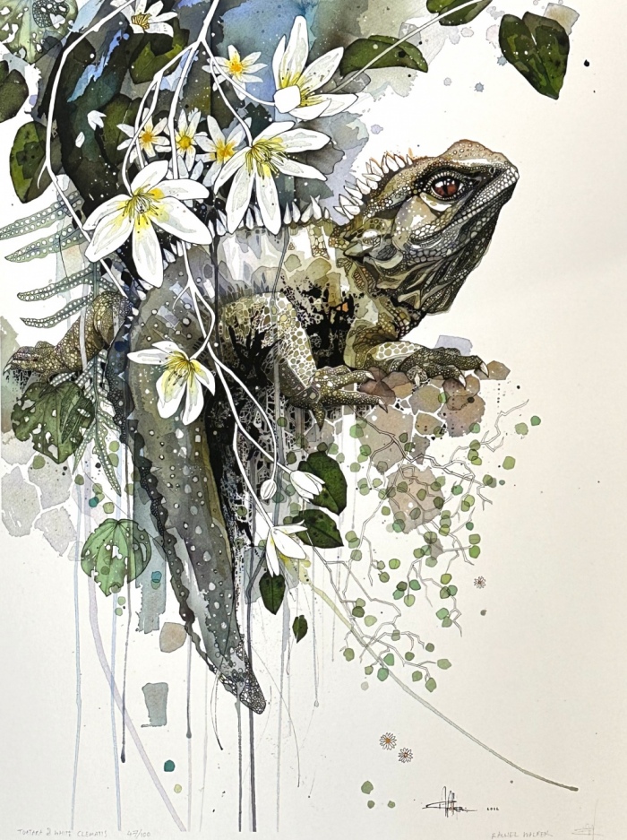 Tuatara and White Clematis