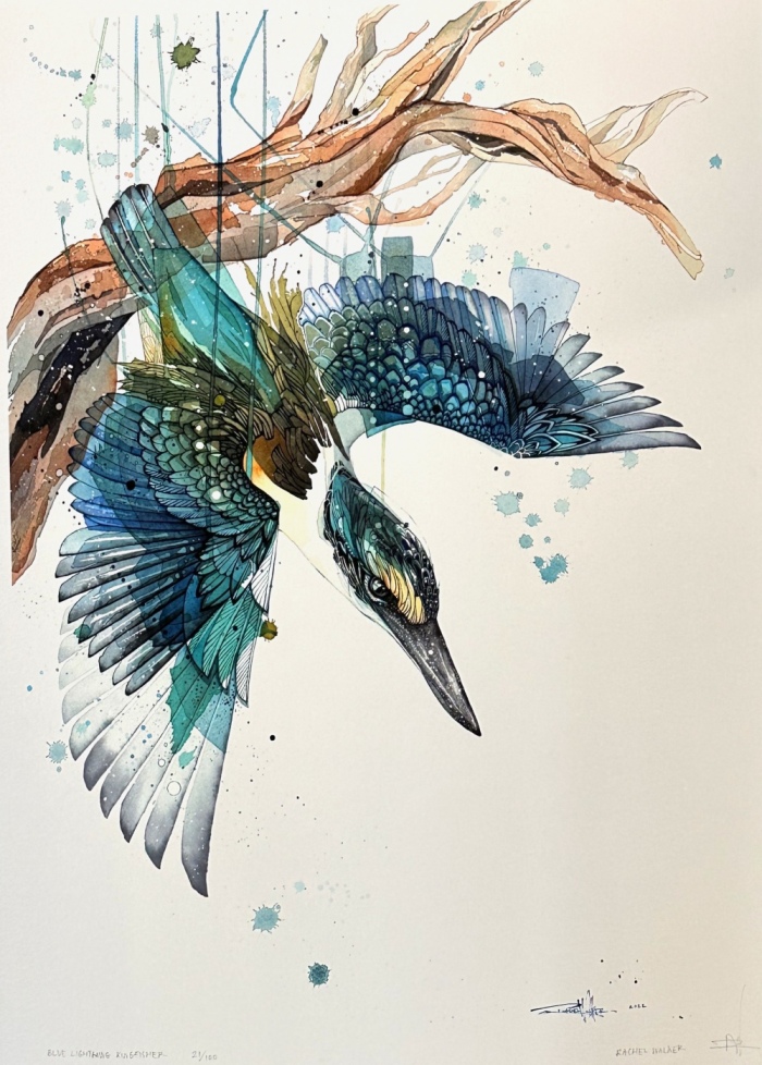 Blue Lightning Kingfisher