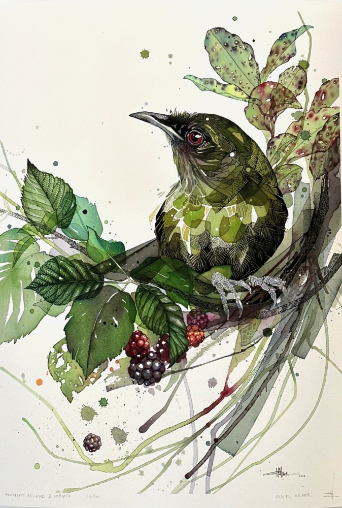 Blackberry Bellbird and Horopito